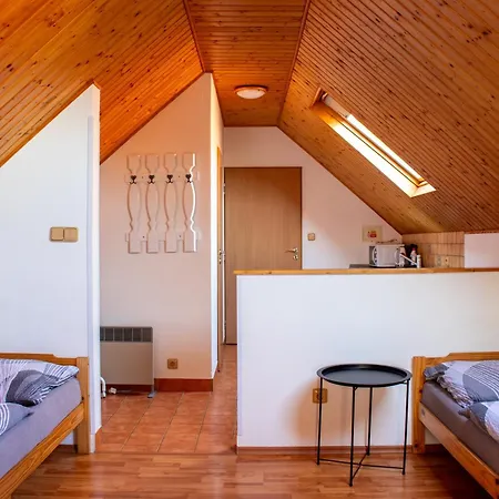 Apartmán Sklípek U Píchlé Galusky *