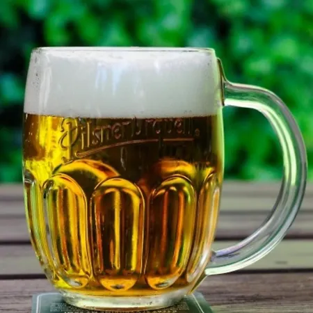 Apartmán Sklípek U Píchlé Galusky *